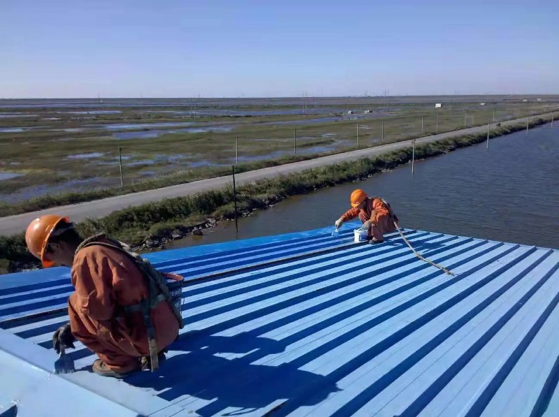 咸安彩钢瓦屋面防腐翻新